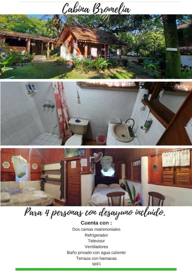 Chalet Y Cabinas Hibiscus Кауита Экстерьер фото