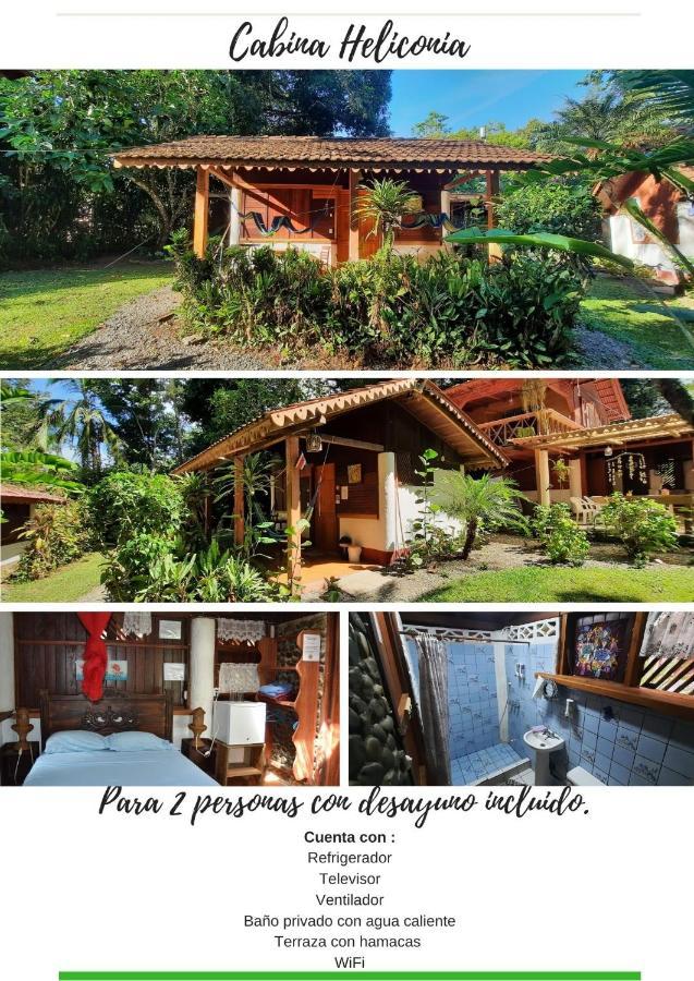 Chalet Y Cabinas Hibiscus Кауита Экстерьер фото