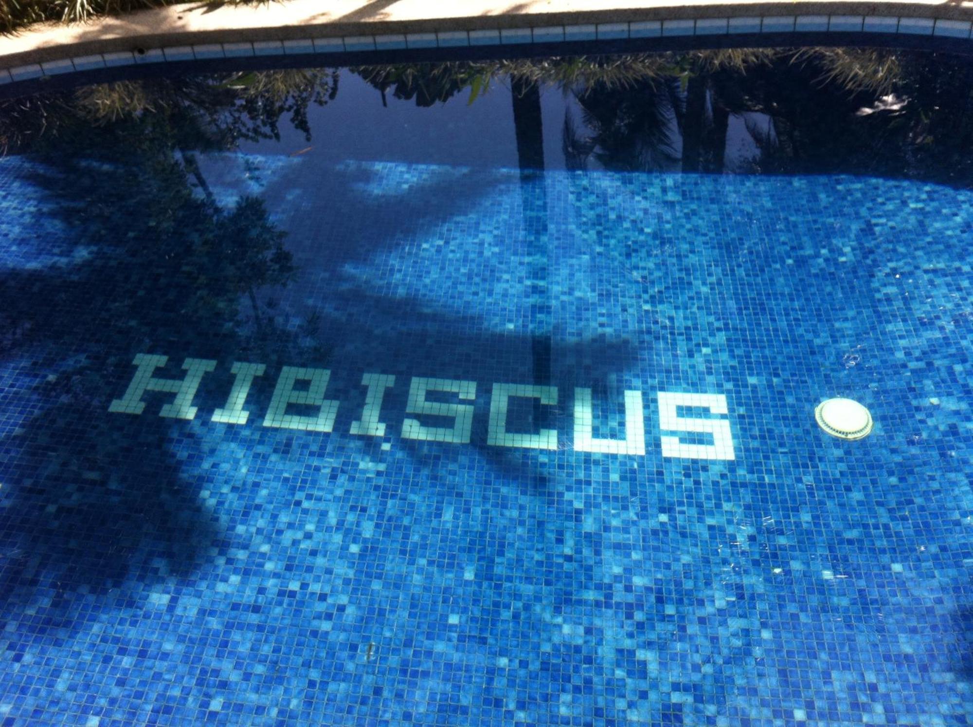 Chalet Y Cabinas Hibiscus Кауита Экстерьер фото