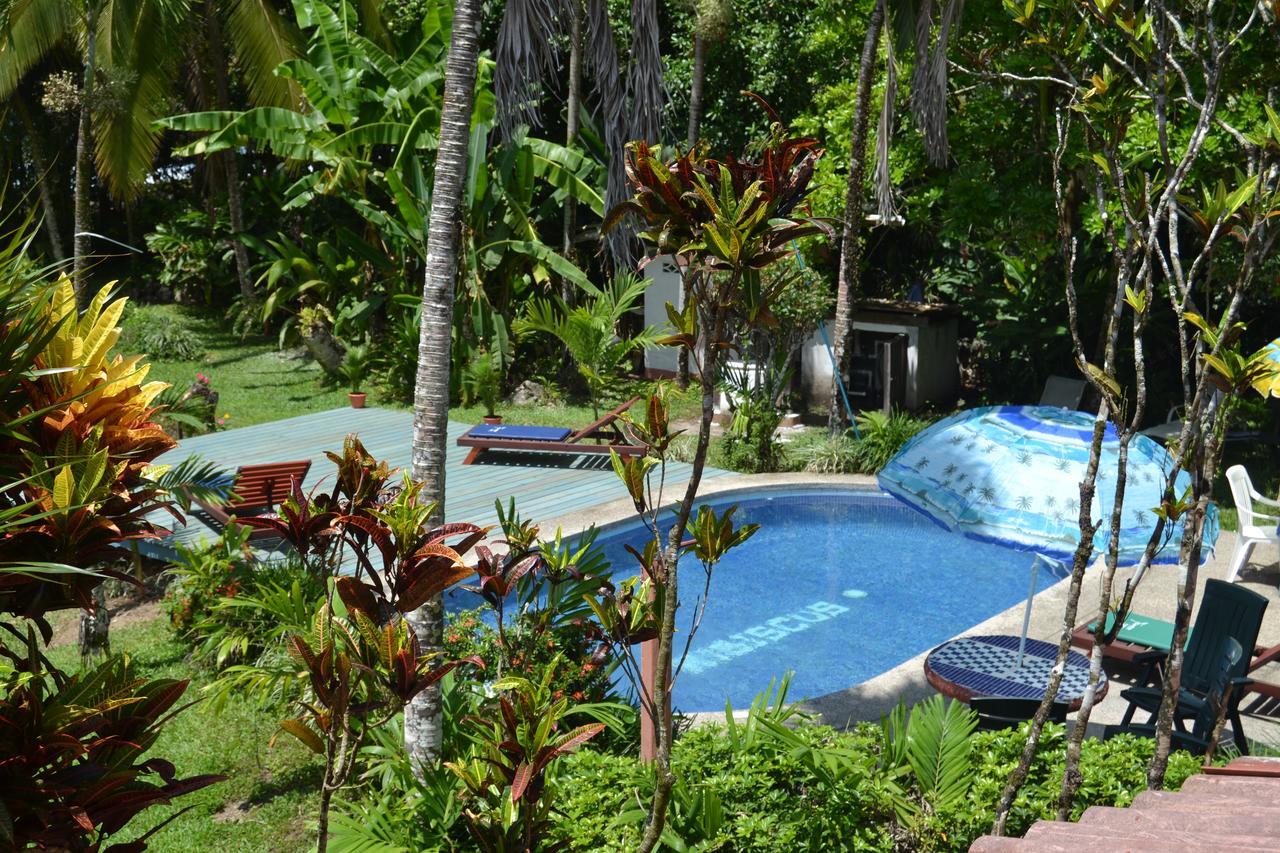 Chalet Y Cabinas Hibiscus Кауита Экстерьер фото