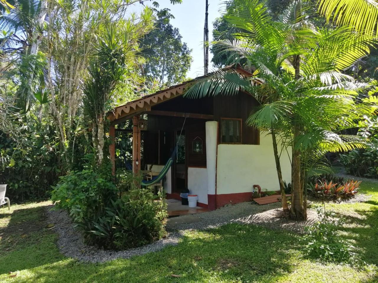 Chalet Y Cabinas Hibiscus Кауита Экстерьер фото