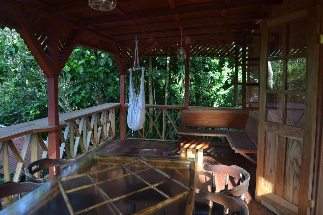 Chalet Y Cabinas Hibiscus Кауита Экстерьер фото